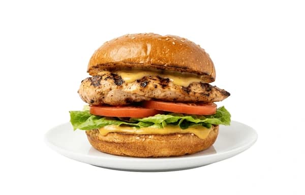 Chicken burger photo — the kind Nouri analyses